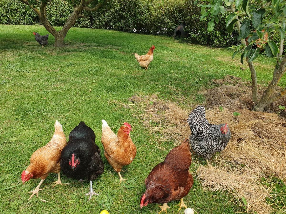 Upper Moutere Supplejack Gardens 빌라 외부 사진